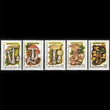 Series of USSR Stamps 1986 - Mushrooms