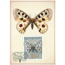 Carte maximum 2025 - Collection of Butterflies