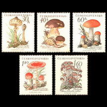 Series of Stamps Czechoslovakia 1958 - Mushrooms