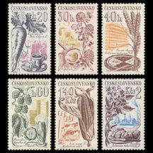 Series of Stamps Czechoslovakia 1961 - Agricultural Crops