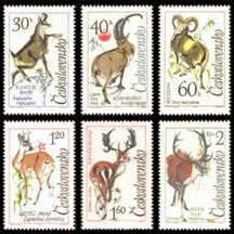 Series of Stamps Czechoslovakia 1963 - Forest Wildlife