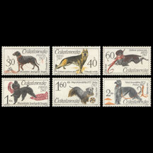 Series of Stamps Czechoslovakia 1965 - World Dog Show