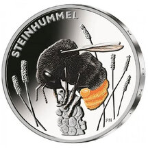 5 EURO Germany 2024 - Bumblebee
