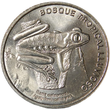 50 Colones Costa Rica 2023 - Red-eyed Tree Frog