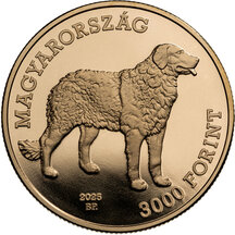 3000 Forint Hungary 2025 - Kuvasz
