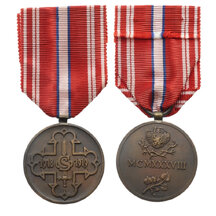 Badge of Czechoslovakia - Czechoslovak Volunteer from the years 1918-19