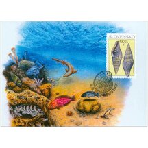 Carte maximum 2022 - Fossil snail