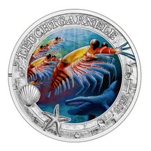 3 EURO Austria 2023 - Glowing Shrimps