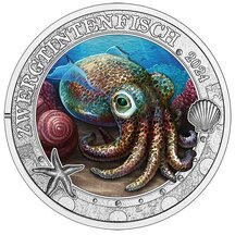 3 EURO Austria 2024 - Hawaiian Octopus