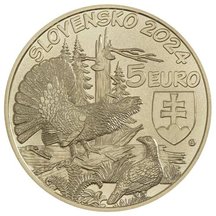 5 EURO Slovakia 2024 - Western Capercaillie