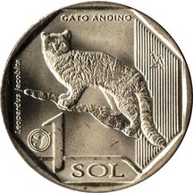 1 Sol Peru 2019 - Andean Cat