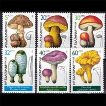 Series of Stamps Bulgaria 1987 - Mushrooms